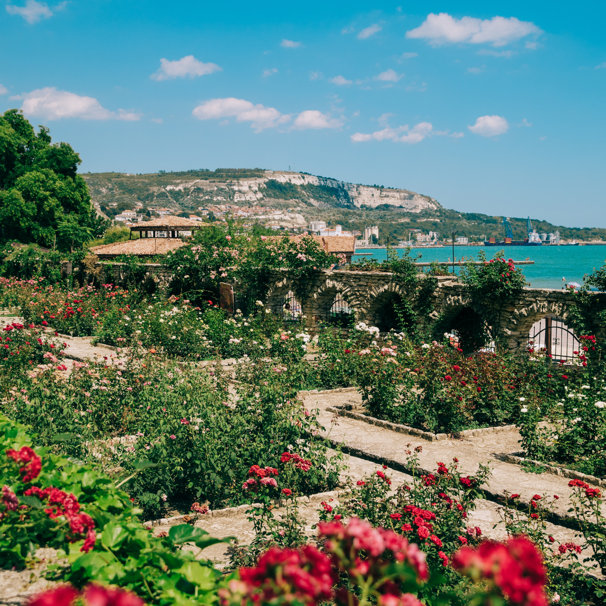 Vegane Peelingseife - Giardini Mediterranei