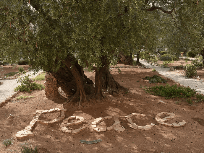 Willkommen in Israel!