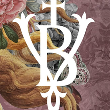 Laden Sie das Bild in den Galerie-Viewer, Voglio Bene Samtiges Brillenetui „Venus“ – Schutz mit Stil
