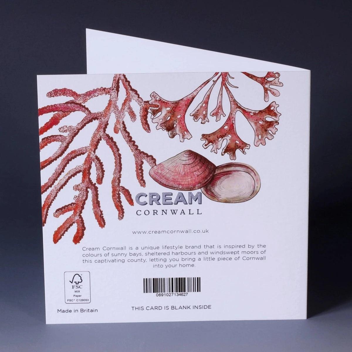Grußkarte - Küstenlinie - Bisschen Mehr