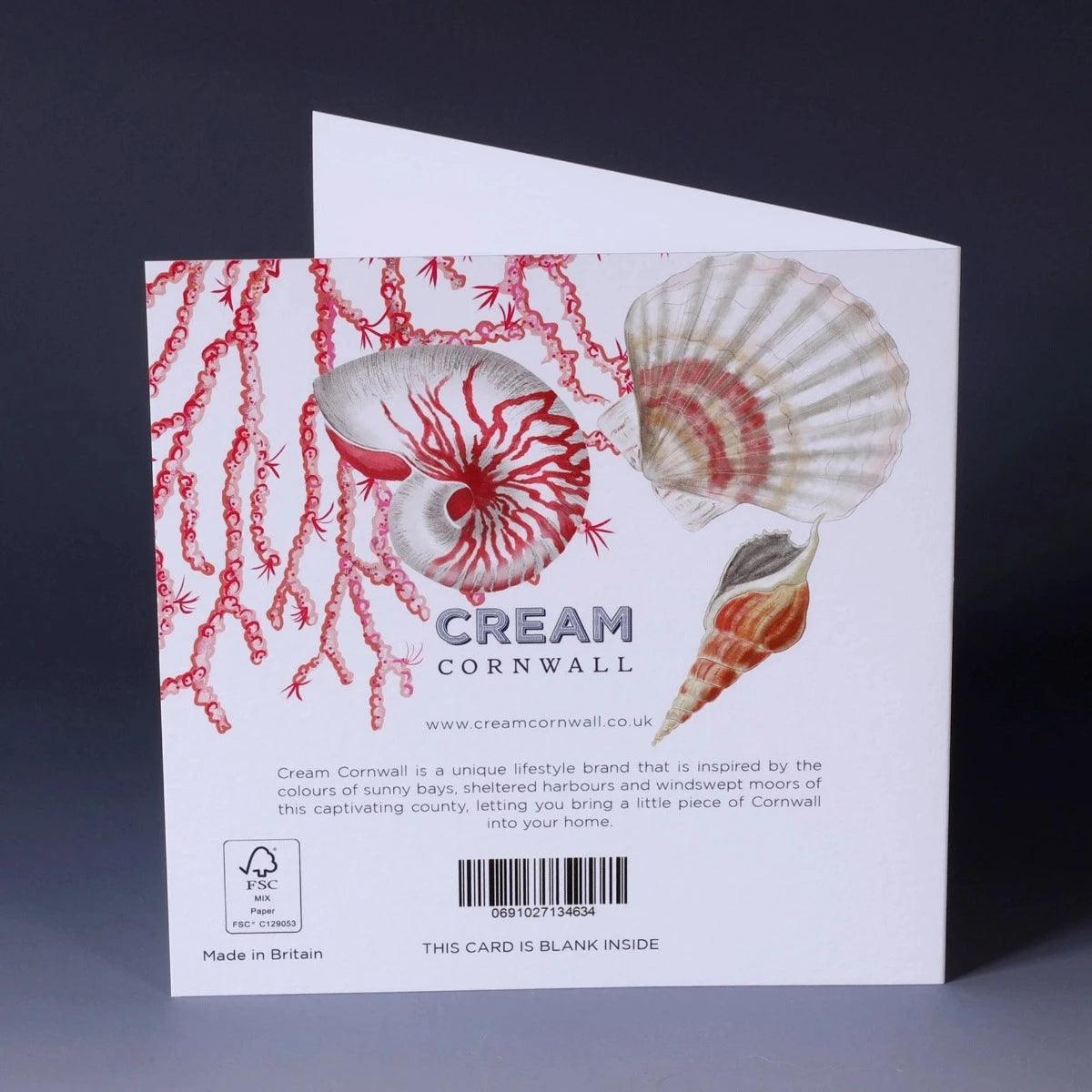 Grußkarte - Muschelsucher - Bisschen Mehr