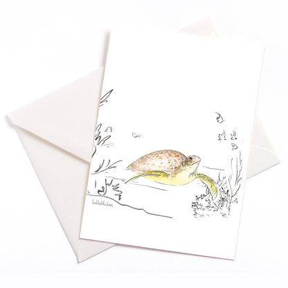 Meermandel-Schildkröte - Karte mit Umschlag