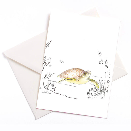 Meermandel-Schildkröte - Karte mit Umschlag