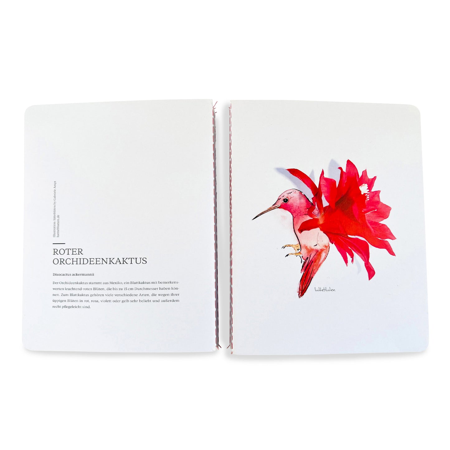 Heft mit Steppheftung - Roter Orchideenkaktus