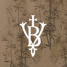 Laden Sie das Bild in den Galerie-Viewer, Voglio Bene Samtiges Brillenetui „Bird Melody“ – Schutz mit Stil
