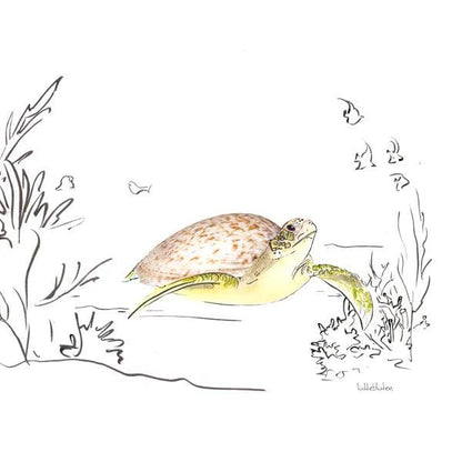 Meermandel-Schildkröte - Karte mit Umschlag
